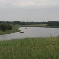 двох