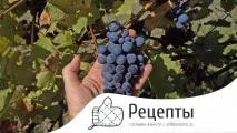 Виноградний компот покрокові рецепти з фото та відео, як зварити компот із винограду на зиму виноградний