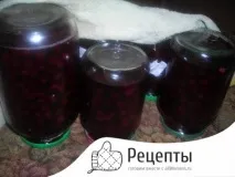 Виноградний компот покрокові рецепти з фото та відео, як зварити компот із винограду на зиму фото