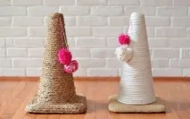 Шкідливі звички кішок звички