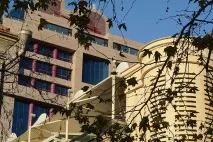 Недільні історії ЩЕДРЕ ДЕРЕВО ЧИНАР дерево