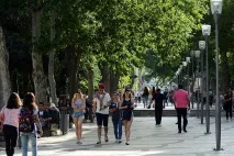 Недільні історії ЩЕДРЕ ДЕРЕВО ЧИНАР історії