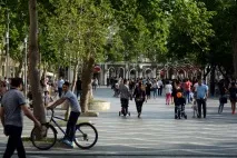 Недільні історії ЩЕДРЕ ДЕРЕВО ЧИНАР історії