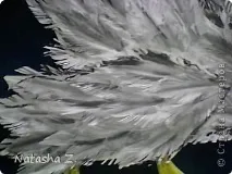 Ворона-краса, блакитні очі, Країна Майстрів блакитні