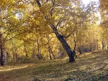 Червоний Камінь (мікрорайон) – це камінь