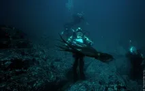 Зустріч з гігантським тихоокеанським восьминогом (Octopus Dofleini) восьминогом