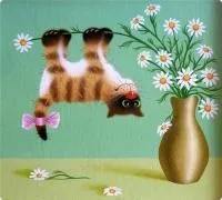 салон