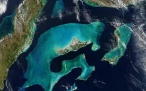 Живі організми гідросфери, terasfera гідросфери