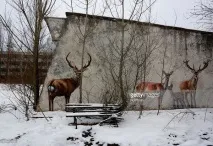 зимового