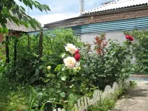 Записки початківця природного землероба природного