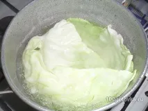 капусти
