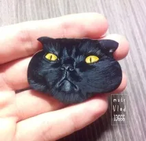 Значки з новим захопленням ) значки