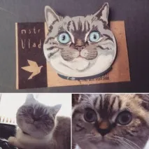 Значки з новим захопленням ) захопленням
