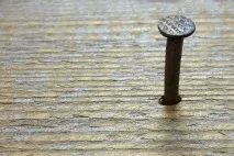 26 неймовірних фактів, про які ви готові посперечатися, не знаєте - НОВИНИ У ФОТОГРАФІЯХ знаєте