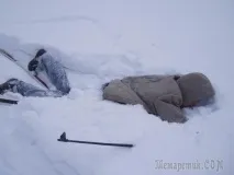 боржники