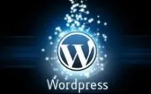 Autoptimize - плагін для стиснення скриптів, стилів та html на WordPress autoptimize