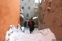 vasilets