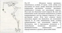 Крестцово - клубовий суглоб крестцово