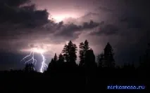 сонниках