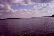 ПИРОГІВСЬКЕ окунь