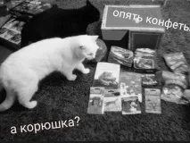 обмін