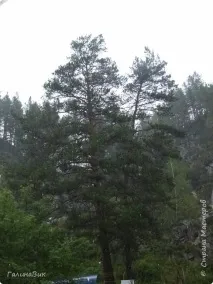 алтай