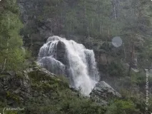 камишлінський