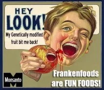 ГМО в Україні назавжди Monsanto