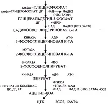 64. Жовчні кислоти. Їхня будова та біологічна роль. Жовчнокам’яна хвороба. кислоти