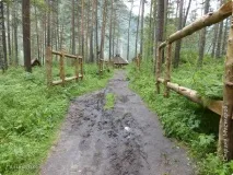 камишлінський