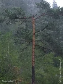 алтай