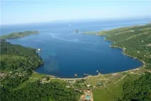 Бухта Вітязь та півострів Гамова, Приморський край, База - Вітрило приморський