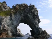 Бухта Вітязь та півострів Гамова, Приморський край, База - Вітрило приморський