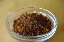 Чага (чорний березовий трутовик) корисні властивості, шкода та застосування чага