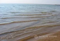 путівник