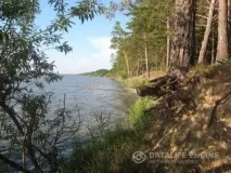 цілющі