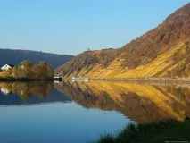 Ціль на Мозелі мозелі