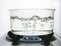 шкідлива