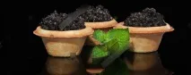Чорна ікра, делікатес, який оцінить кожен делікатес