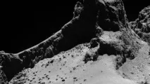 rosetta