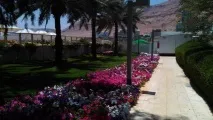 День відпочинку на Мертвому морі в готелі LOT. мертвому