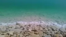 День відпочинку на Мертвому морі в готелі LOT. день
