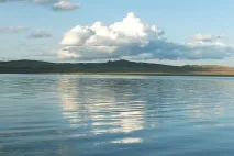 десять