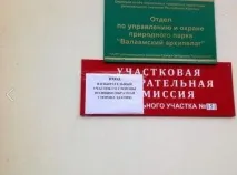 День виборів у Карелії-2016 онлайн-трансляція - 7x7 - Горизонтальна Україна карелії-2016