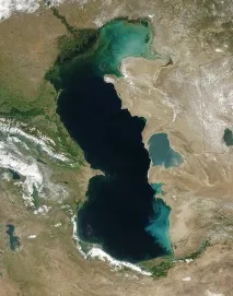 солоних