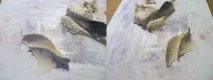 живопису