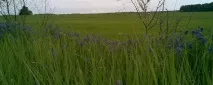 Село Дроветчине село