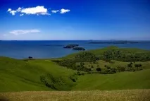 будиночки