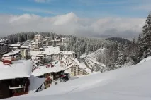 болгарських