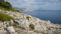 Визначні місця Дубровника (60) фото та опис місця